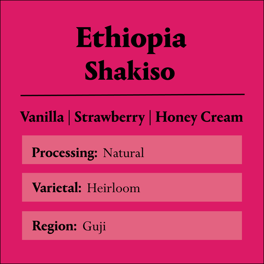 Ethiopia Shakiso  Kayon Mountain 5 Lb Bag